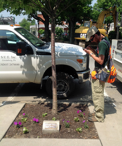 WPC forester analyzing inventorying Ligonier street tree.