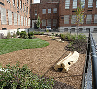 Weil School after implementation