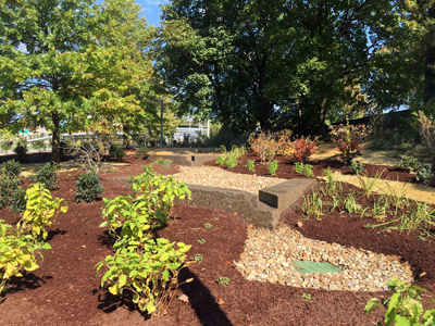 Point State Park Bioswale in Downtown Pittsburgh