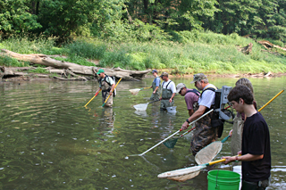 WPC staff and volunteers work at Little Mahoning Creek