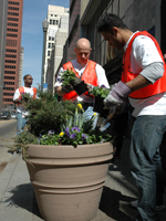 Direct Energy
volunteers
plant flowers,
downtown
Pittsburgh