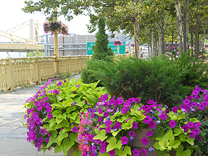 Planters and hanging baskets along Ft. Duquesne Blvd.