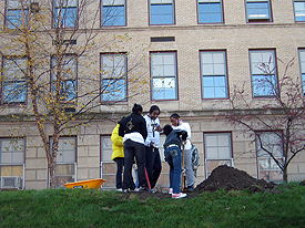 Tree planting, Faison K-5 school, Pittsburgh