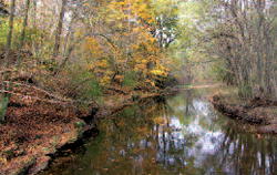 One of the six properties conserved in the
Loylhanna Creek watershed, Westmoreland County.