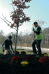 WPC volunteers and staff plant TreeVitalize’s 15,000th 
tree in Millvale, Pa.