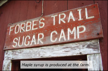 Maple syrup is produced at the farm.