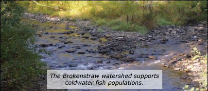 The Brokenstraw watershed supports coldwater fish populations.