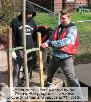 Urban trees – here planted by the TreeVitalize property values and reduce utility costs.
