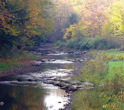 Fourmile Run at Portage Creek after an instream restoration project.