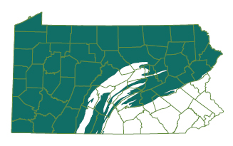 This map illustrates the location of the Marcellus
Shale formation (blue) in Pennsylvania. The
Marcellus Shale formation is believed to have
been caused by a shallow sea that covered most
of Pennsylvania during the Devonian Period
over 380 million years ago.