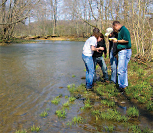 Acquatic scientists conducting a survey at Little Mahoning Creek