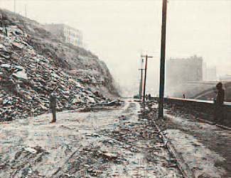 WPC’s first-ever project involved planting trees as part of the
restoration of this hillside along Bigelow Boulevard in 1940.