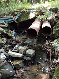 Aging, undersized culverts like these were
preventing aquatic species from traversing
the watershed.