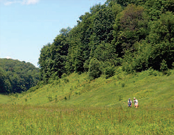 WPC is partnering with The American Chestnut Foundation to plant
blight-resistant chestnuts and is also planting native hardwoods on
30 acres of a reclaimed surface mine site at WPC’s Bennett Branch
Forest propety in Elk County.
