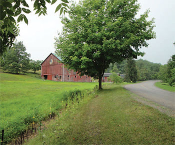 Farm and Ranchland Protection Program funds were used to keep the
Kinsey family farm in Westmoreland County in production.
Courtesy of WCALP
