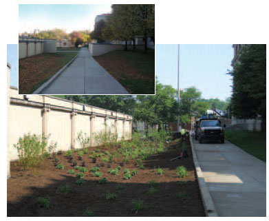 After: WPC installed a rain garden to collect storm water runoff.