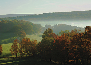 WPC has conserved more than 233,000 acres in Pennsylvania, including this Laurel Highlands parcel in Cook Township. 