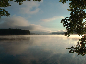 WPC helps conserve places such as Prince Gallitzin State Park. Photo courtesy of Dan Pompa.  