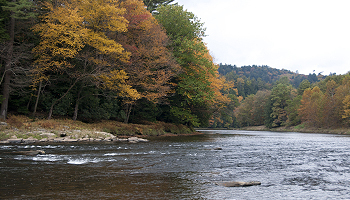 The Clarion River glides by State Game Land 283 in Jefferson County.
