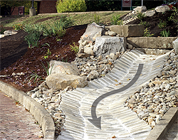 Bioswales capture storm water close to the source, reducing roadway flooding, ponding and sewer overflows.