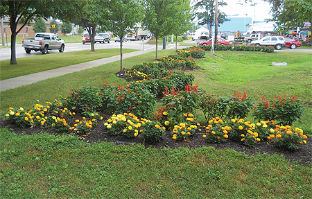 Marigolds and red salvias bloom
at the Second District Elementary
School in Meadville.