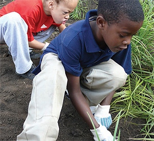 Students from Weil Elementary School help with a school
grounds planting.