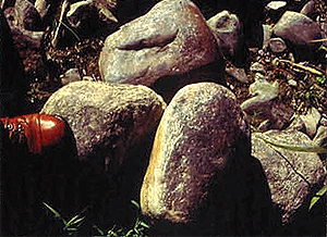 Glacial boulders from French Creek.