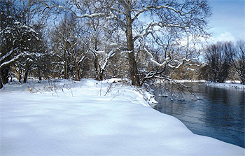 French Creek in the winter.
