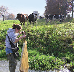 Jennifer Farabaugh, WPC’s Juniata and Potomac watershed 
manager, conducts research in front of streambank fencing, which 
not only improves the water quality of the stream but also helps 
keep the livestock healthy.