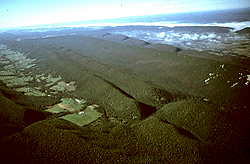 This photo, taken in 1978, shows an aerial view of Cherry Run.