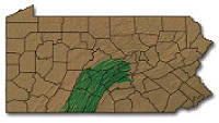 Pennsylvania’s Central Valleys and Ridges — highlighted here in 
green — stretch up to the Centre-Clinton county line, down to the state border, as far east as Perry County and as far west as Somerset County.