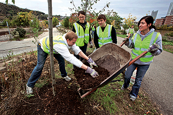Volunteer tree tenders spread mulch on a newly planted tree near downtown Pittsburgh. 