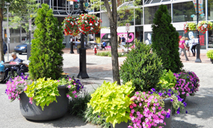 Downtown Pittsburgh Planters - Market Square