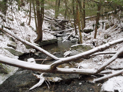 Bear Run Nature Reserve - Snowy Stream