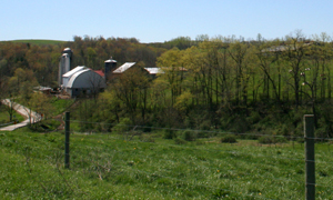 Graham Farm