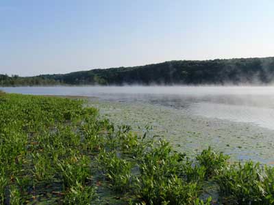 Lake Pleasant Conservation Area