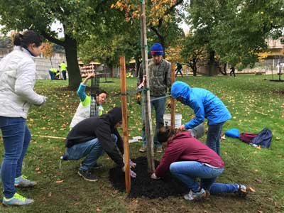 Volunteer to Plant a Tree