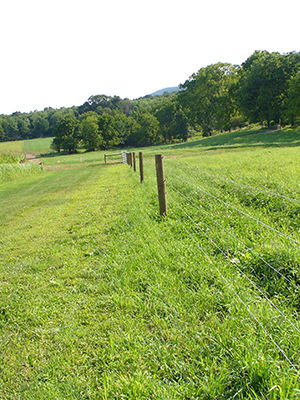 Fence used for agricultural best management practices