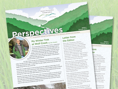 WPC's Annual Newsletter : Perspectives