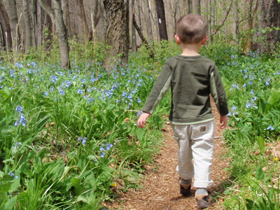 Boy walking through Bear Run Nature Reserve