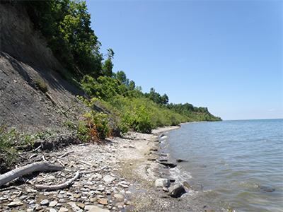 Lake Erie frontage