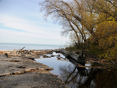 Land-Lake-Erie-Shoreline-400x300