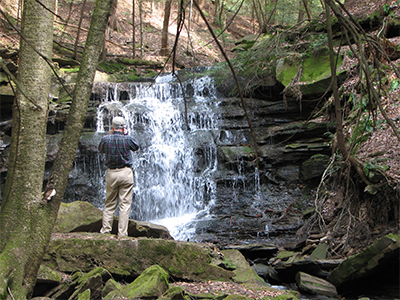 Land-Land-and-Water-2008-04-25-Firth-Sugar-Creek-044-photograph-waterfall-Spring-400×300