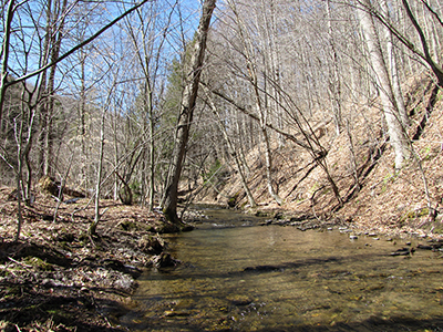 Land-Protecting-Land-Clarion-River-Inholding-IMG-0837-trees-water-Winter-400x300
