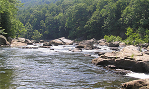 Youghiogheny River scour, special habitat