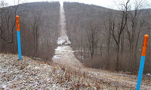 Forest fragmentation caused by a subnatural gas pipeline