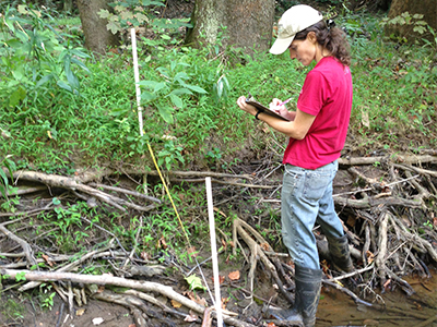WPC staff survey riparian vegetation along Aunt Claras Fork as part of energy assessments.