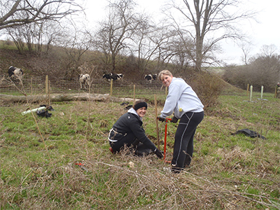 Volunteers doing a riparian tree planting