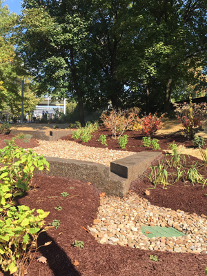 WPC Stormwater Solutions Bioswale Point State Park