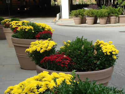 WPC Pittsburgh Downtown Planters - Fall